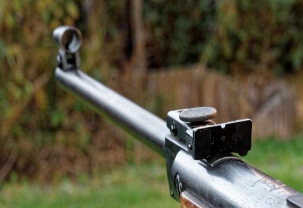 Un doljean este cercetat penal după ce a împușcat câinele vecinului său 