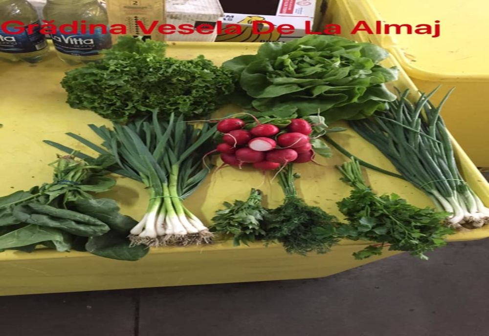 Legume de sezon, aduse acasă. Ce metode de supraviețuire au găsit producătorii agricoli din Dolj 