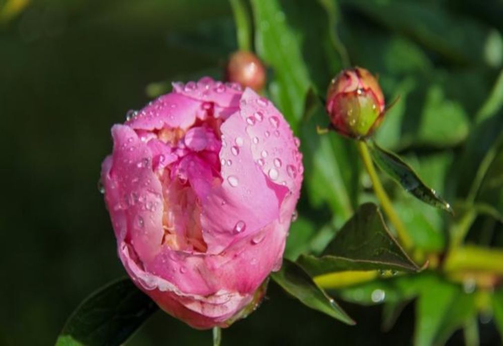 Prognoza meteo pe o lună. Schimbări radicale: cum va fi vremea până pe 18 mai