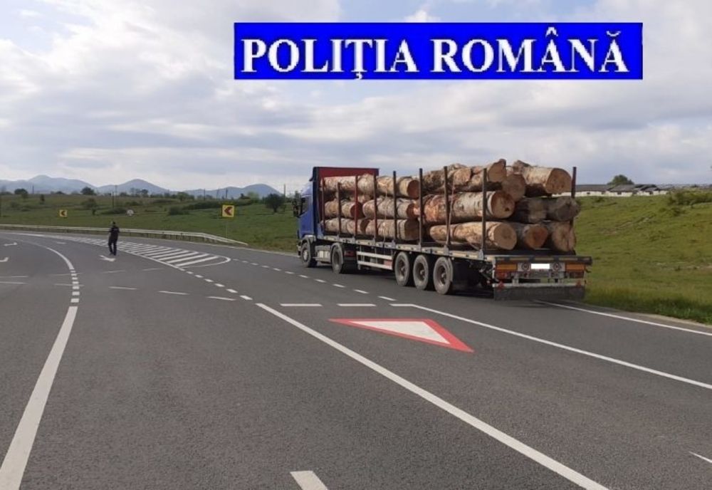 Mai multe transporturi ilegale de lemn depistate de polițiștii deveni în urma unor filtre rutiere și verificării unor firme