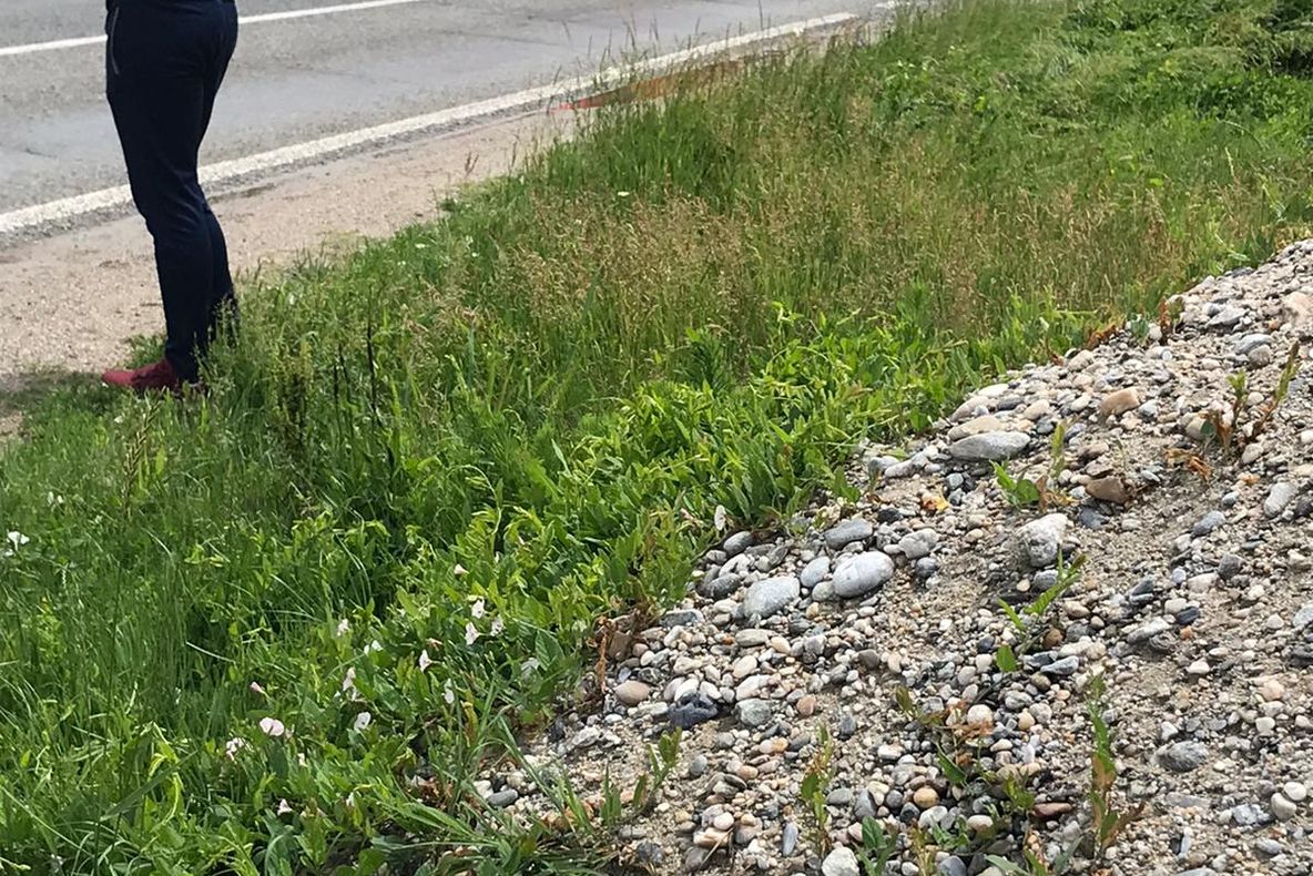 Doi copii și doi adulți, răniți într-un accident produs în comuna Goiești. A intervenit elicopterul SMURD