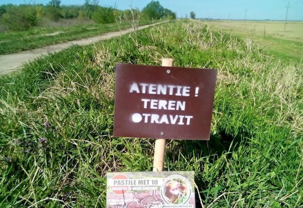 Dolj: ABA Jiu începe deratizarea anuală. Pășunatul va fi interzis