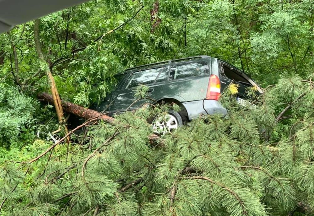Dolj: A intrat cu mașina într-un copac din Pădurea Perișor. Doi tineri, la spital 