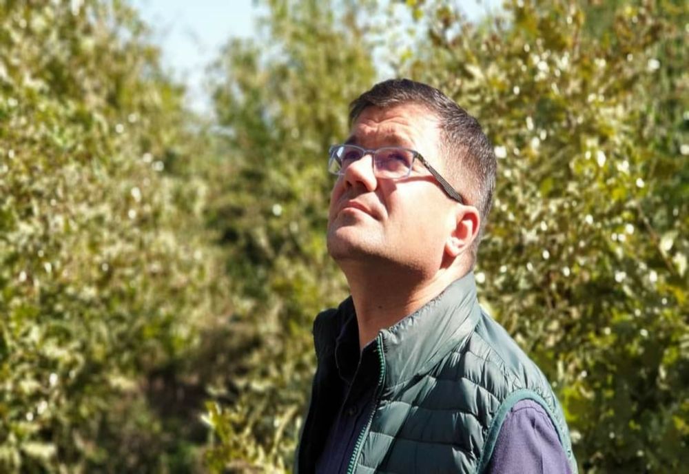 O pădure cât o țară. 17 milioane de copaci plantați în România