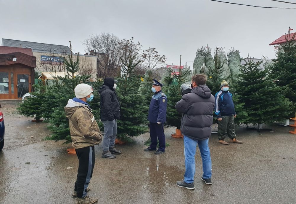 Zeci de pomi de Crăciun, confiscaţi la Craiova
