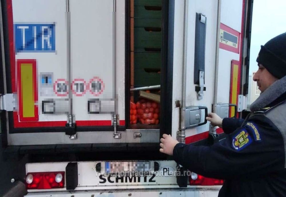 VIDEO. Cinci migranţi, prinşi la Calafat când încercau să intre în ţară ascunşi printre portocale