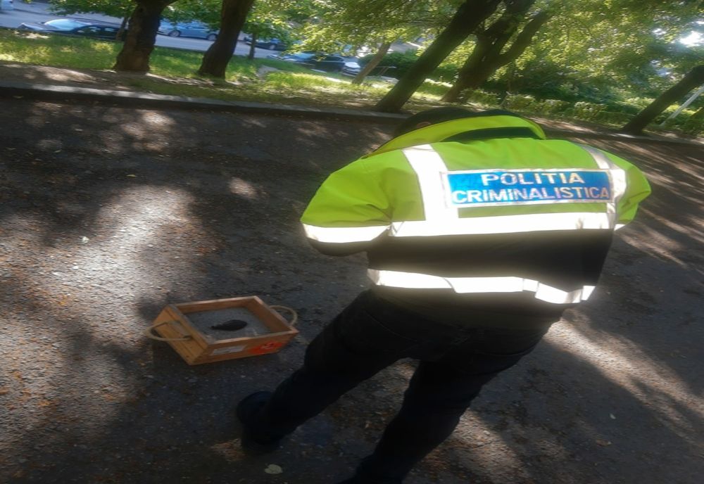 Poliţiştii au găsit o grenadă, pe o stradă din Craiova. Explicaţii oficiale