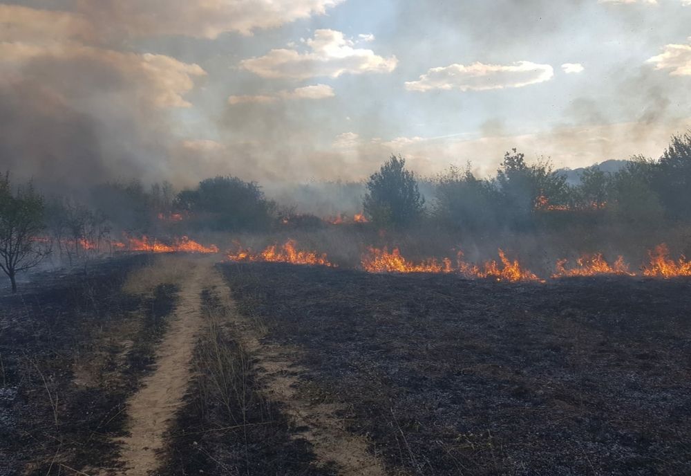 Incendiul de la Hipodromul Craiova: 10 hectare de vegetaţie uscată, mistuite de flăcări