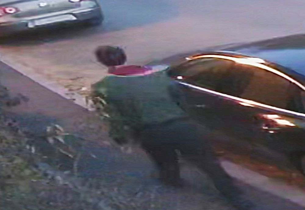 Evadatul din Dolj. Poliţiştii au refăcut traseul tânărului, după evadare (VIDEO)