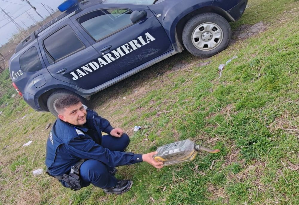 Un şarpe lung de doi metri, care a ajuns într-o gospodărie din Dolj, îndepărtat de jandarmi