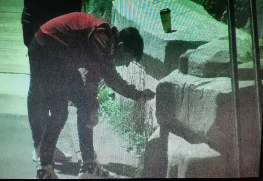 Craiova: Doi tineri din Slatina, amendaţi după ce au vandalizat podul suspendat din Parcul „Nicolae Romanescu”