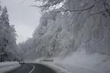 El Niño și vortexul polar ar putea aduce o iarnă extremă. Europa, amenințată de valuri severe de frig