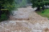 Alertă hidrologică. Cod galben de viituri şi inundaţii locale în şapte judeţe-HARTĂ