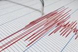 Seism produs în sudul Italiei. Cutremurul de joi dimineață a fost urmat de o replică