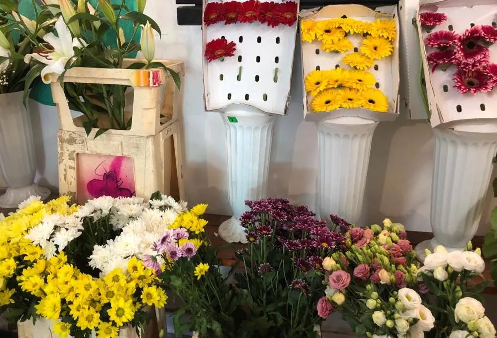 foto flori