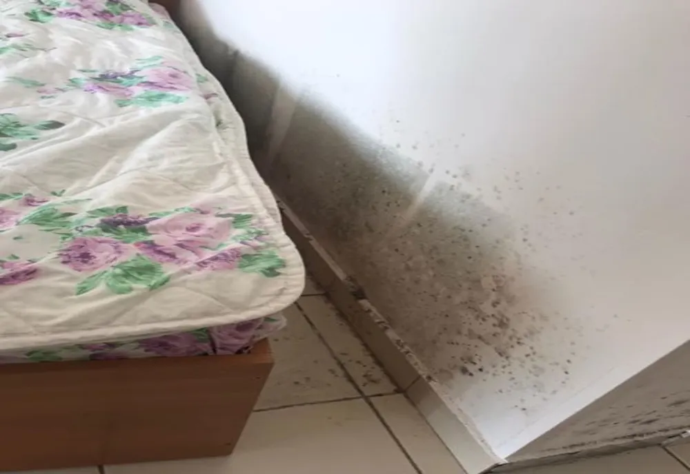 Dolj: Mizerie, igrasie și gongi într-un centru de carantină din Calafat