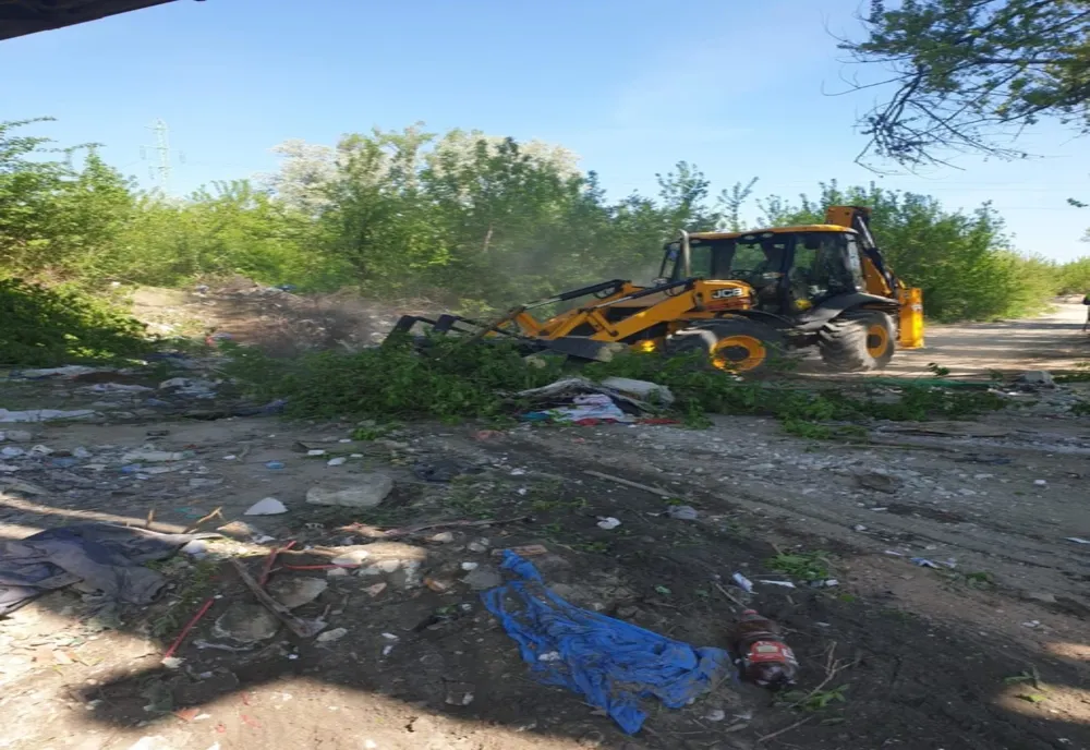 Dezastru ecologic pe marginea râului Jiu, în județul Dolj 
