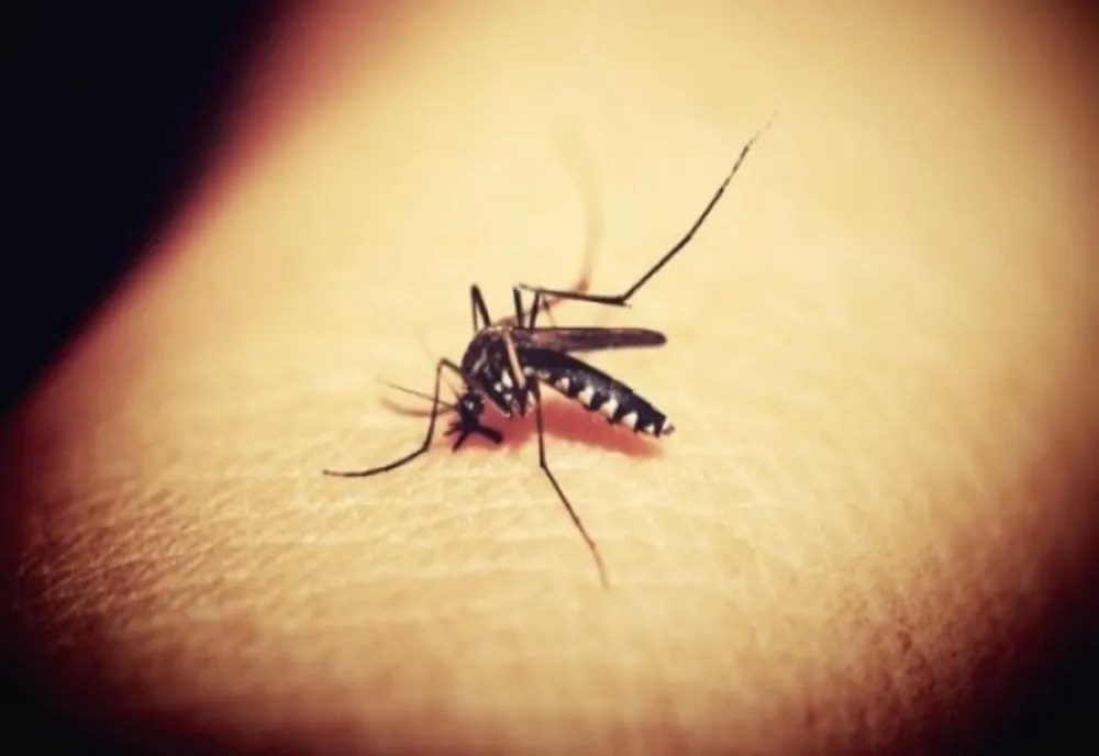 INSP: 13 CAZURI DE INFECŢIE CU VIRUSUL WEST NILE, ÎNREGISTRATE DE LA ÎNCEPUTUL LUNII IUNIE