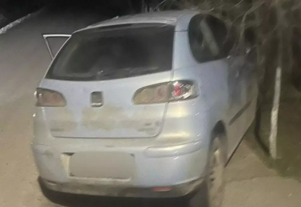 Urmărire ca în filme în Dolj: un șofer fără permis a fugit de poliție și s-a ascuns într-un adăpost pentru animale