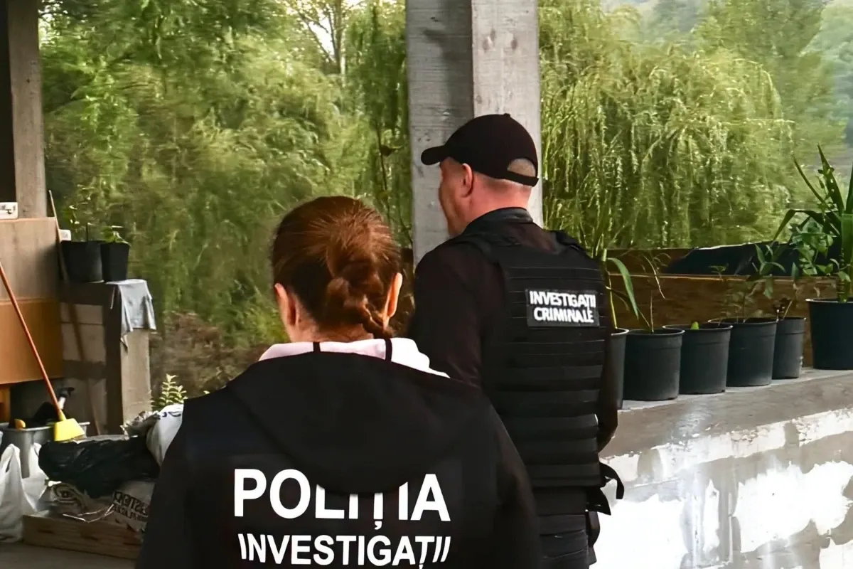 Percheziții