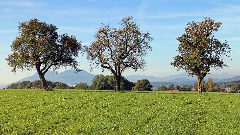 Prognoza meteo pentru 7 martie: vreme plăcută și temperaturi de primăvară în mare parte din țară