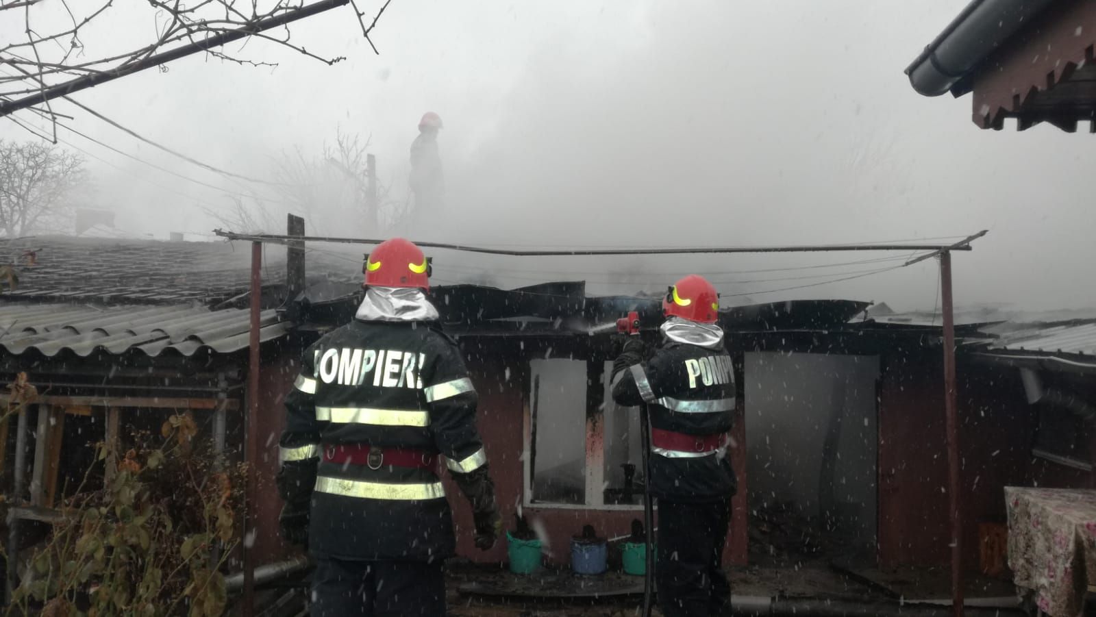 WhatsApp Image 2019-01-25 at 12.36.06