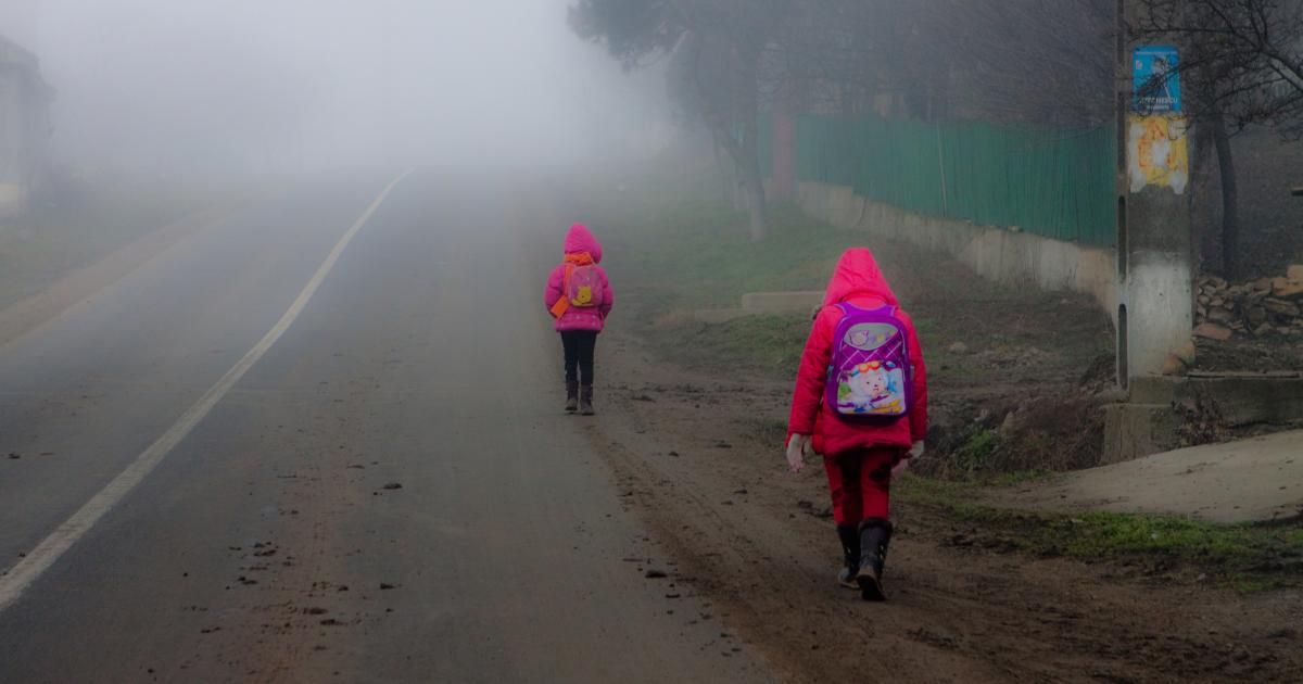 ZmEzN2NmYzM3OTY2ZmMzYzUxYjcyOGI2ZjhiZjY5.thumb