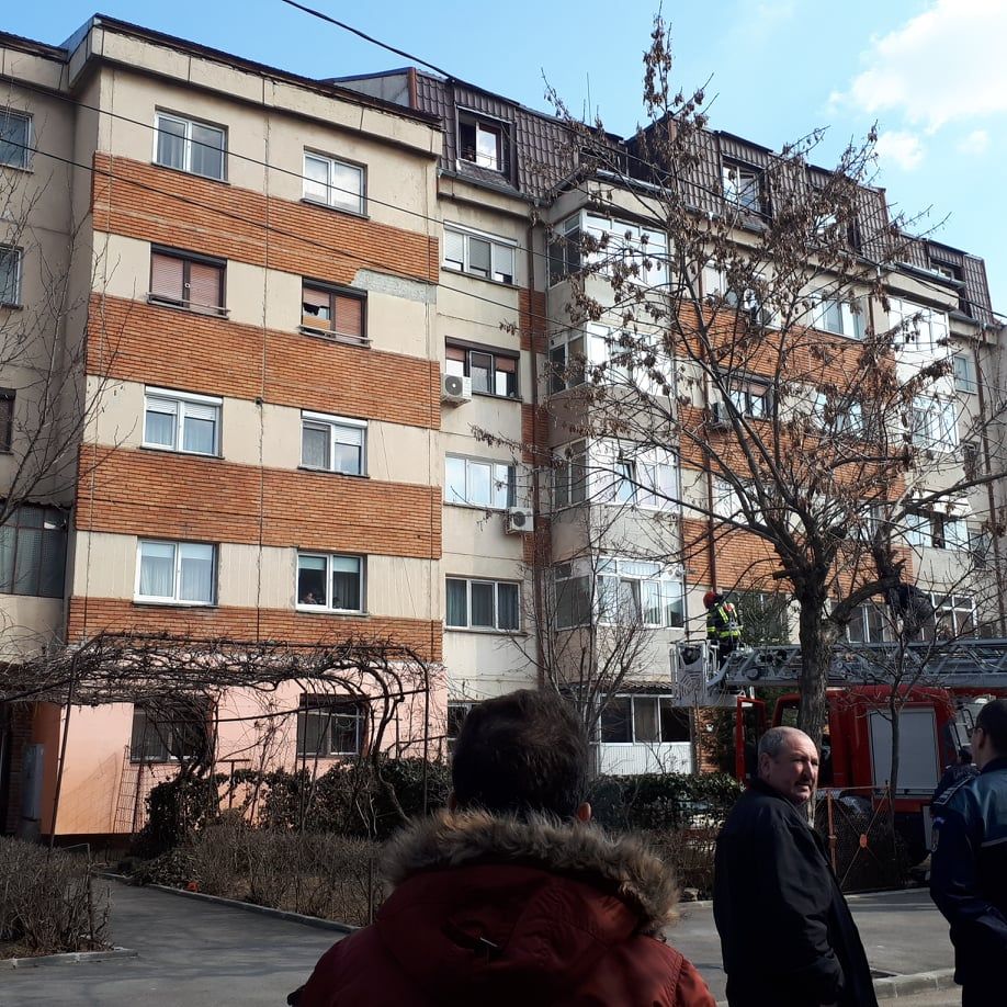 52364589_702767270118724_3538685462833004544_n