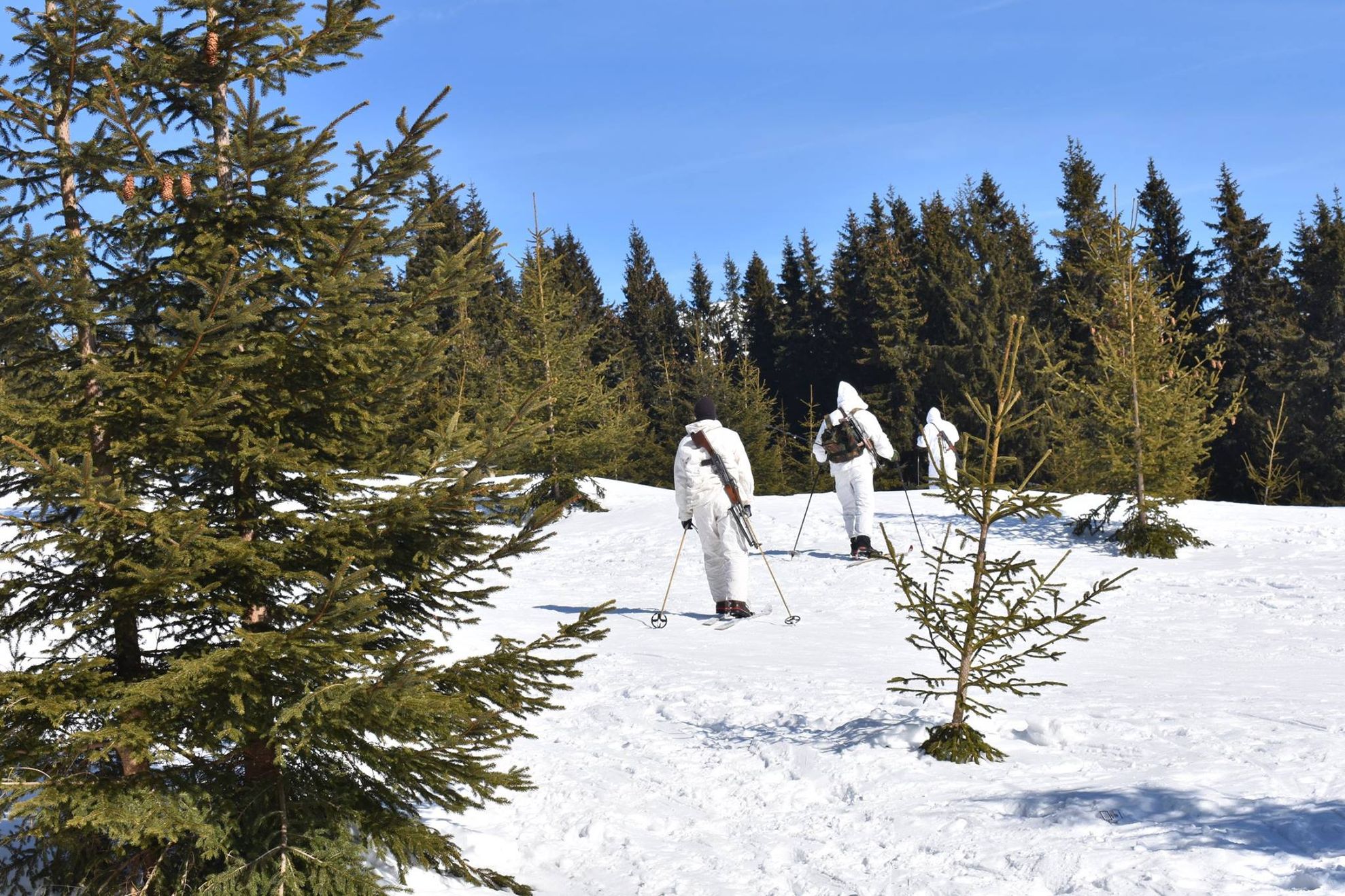 53509494_2091296414287120_7885845802709417984_o