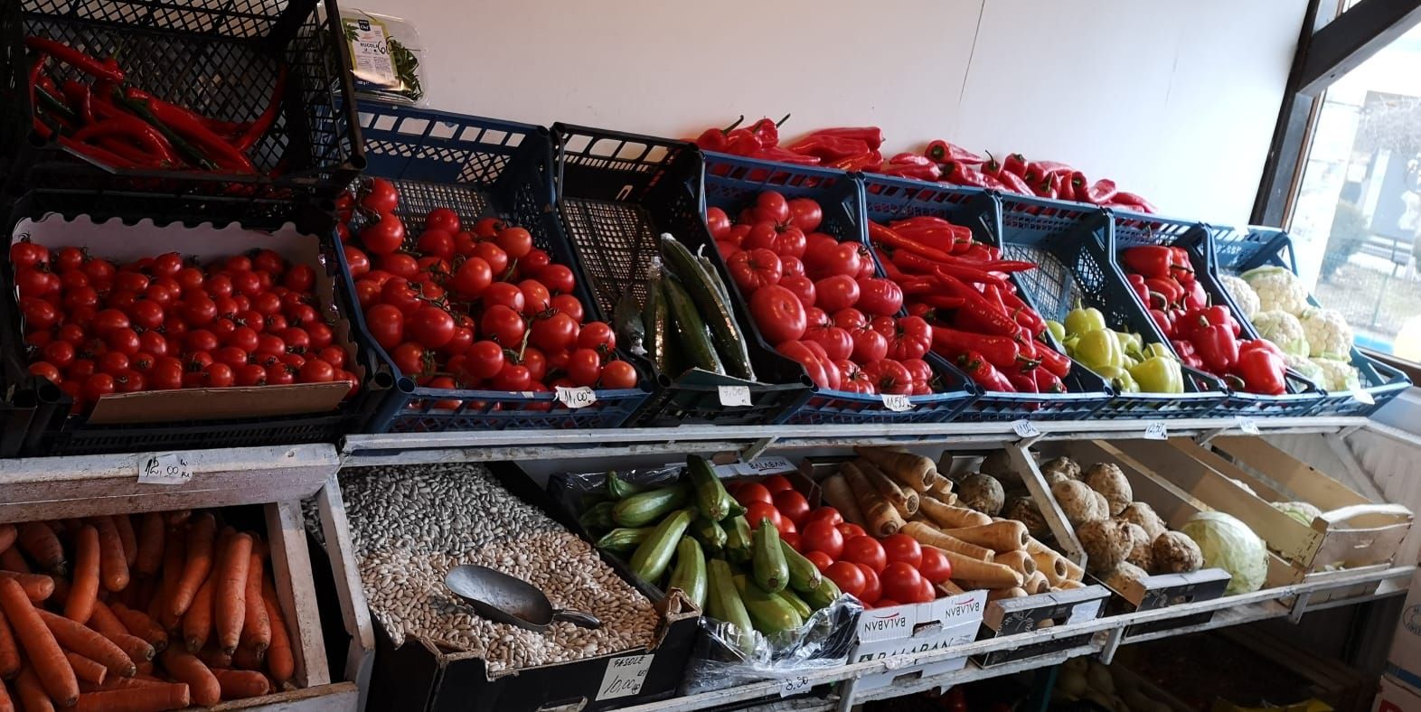 bb66c5e9-7e95-4ee5-8699-052c8fc3079a