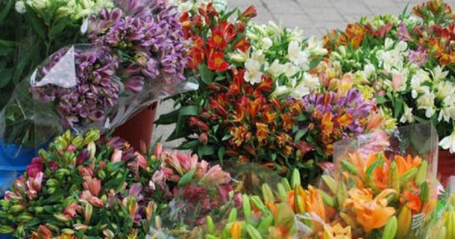 88d9a0cb55d81b8a3601ff79f8d5c68d_XL