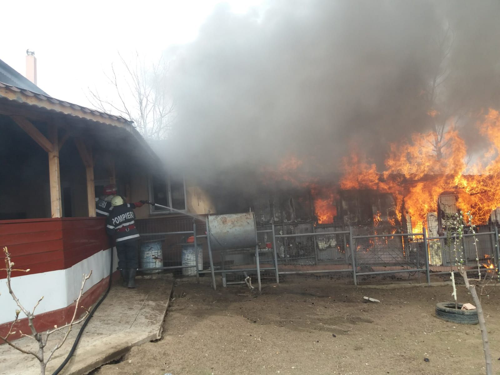 WhatsApp Image 2019-03-26 at 13.31.55