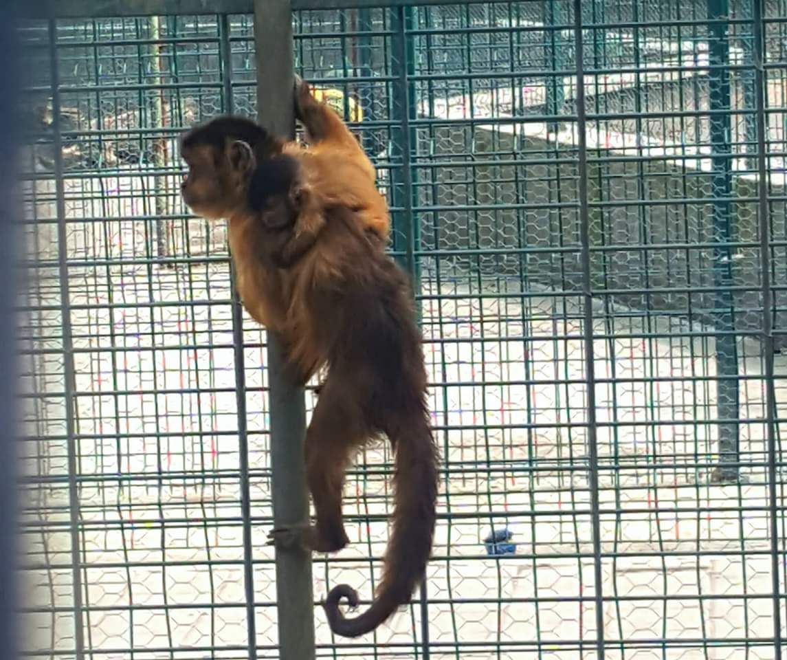 FB_IMG_1555931661922