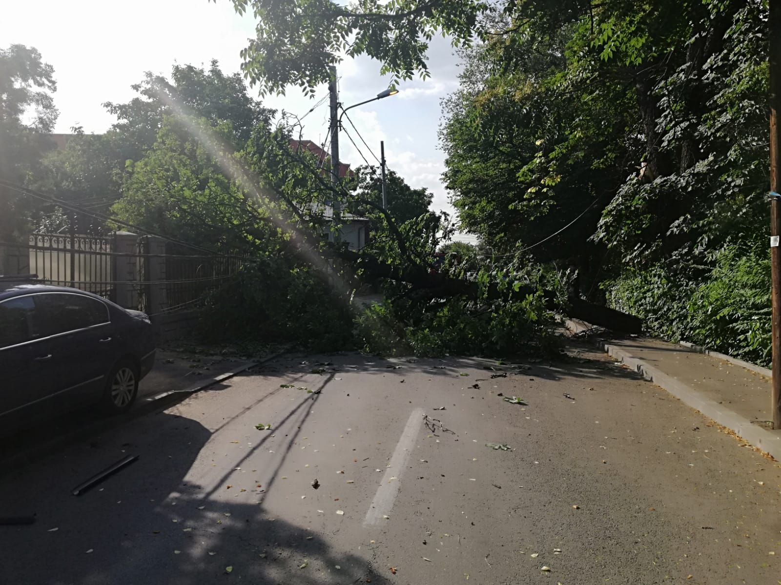 6a2dcef0-b2d7-4dbd-ab7d-07cd23bdae63