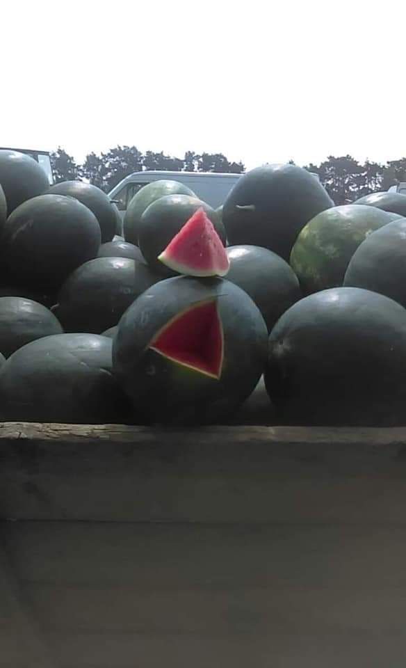 FB_IMG_1560881201769