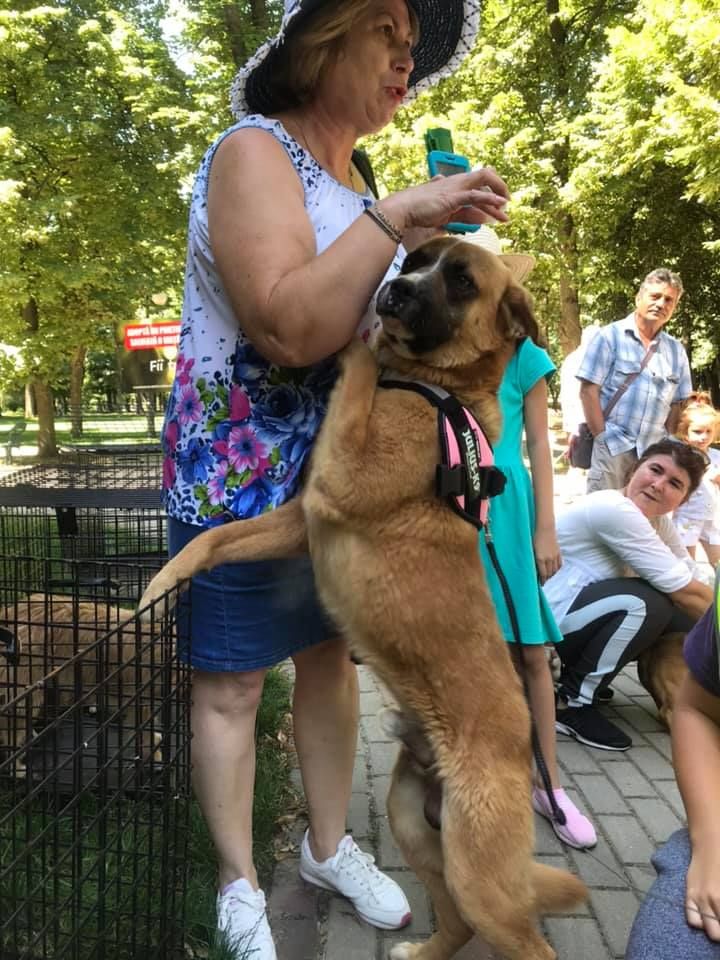 65392612_2242491205846081_6496073082409582592_n