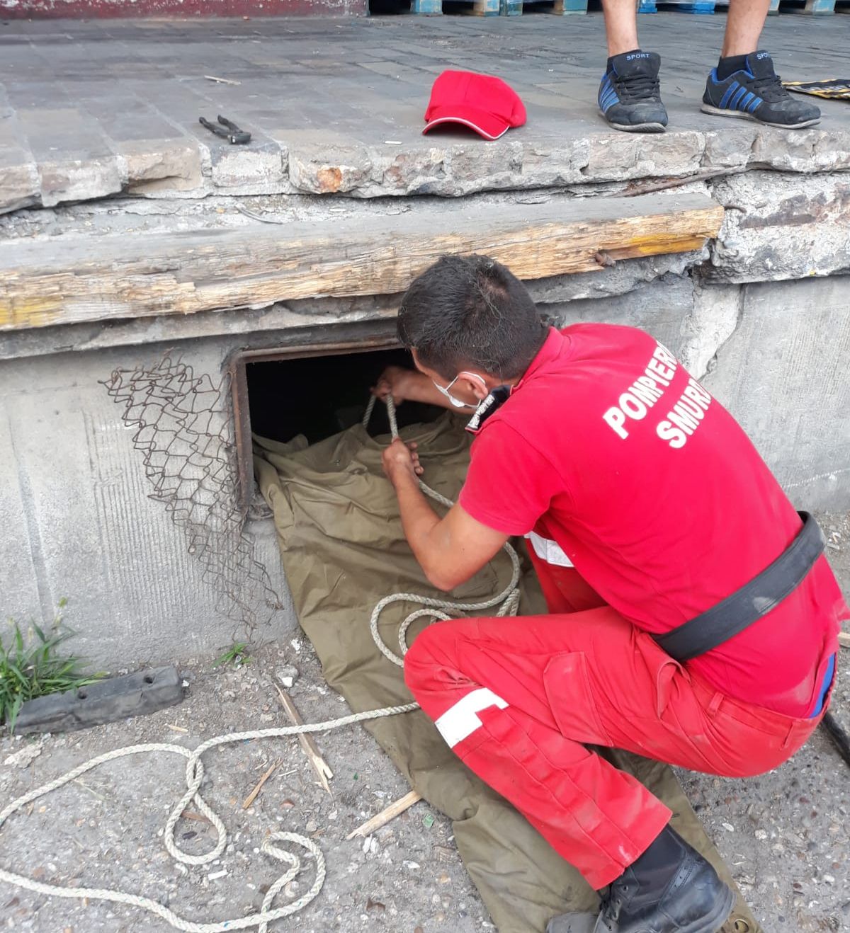 8c5e2885-bbd7-4358-812b-3a3039e1fe25