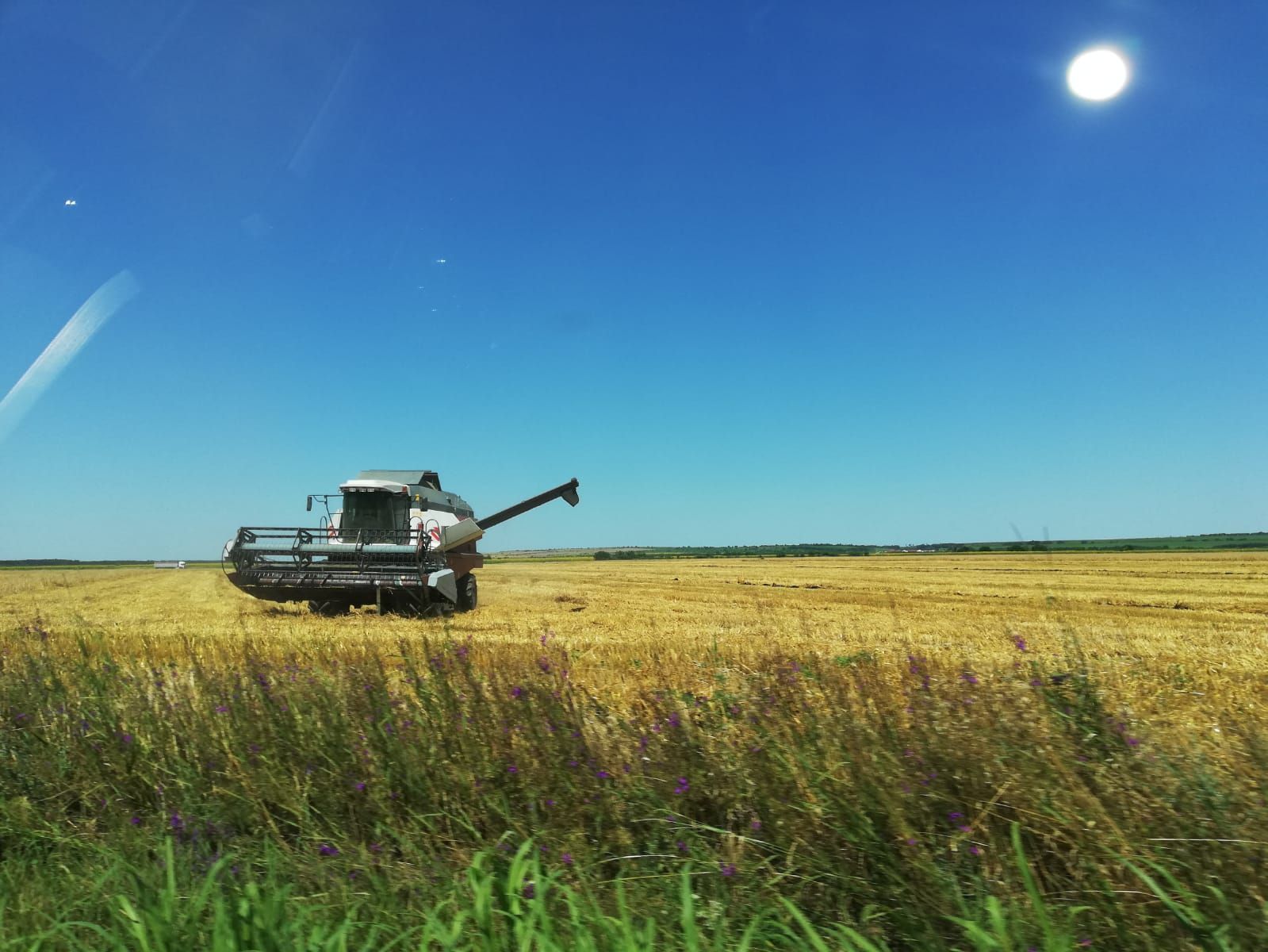 WhatsApp Image 2019-07-03 at 11.31.22