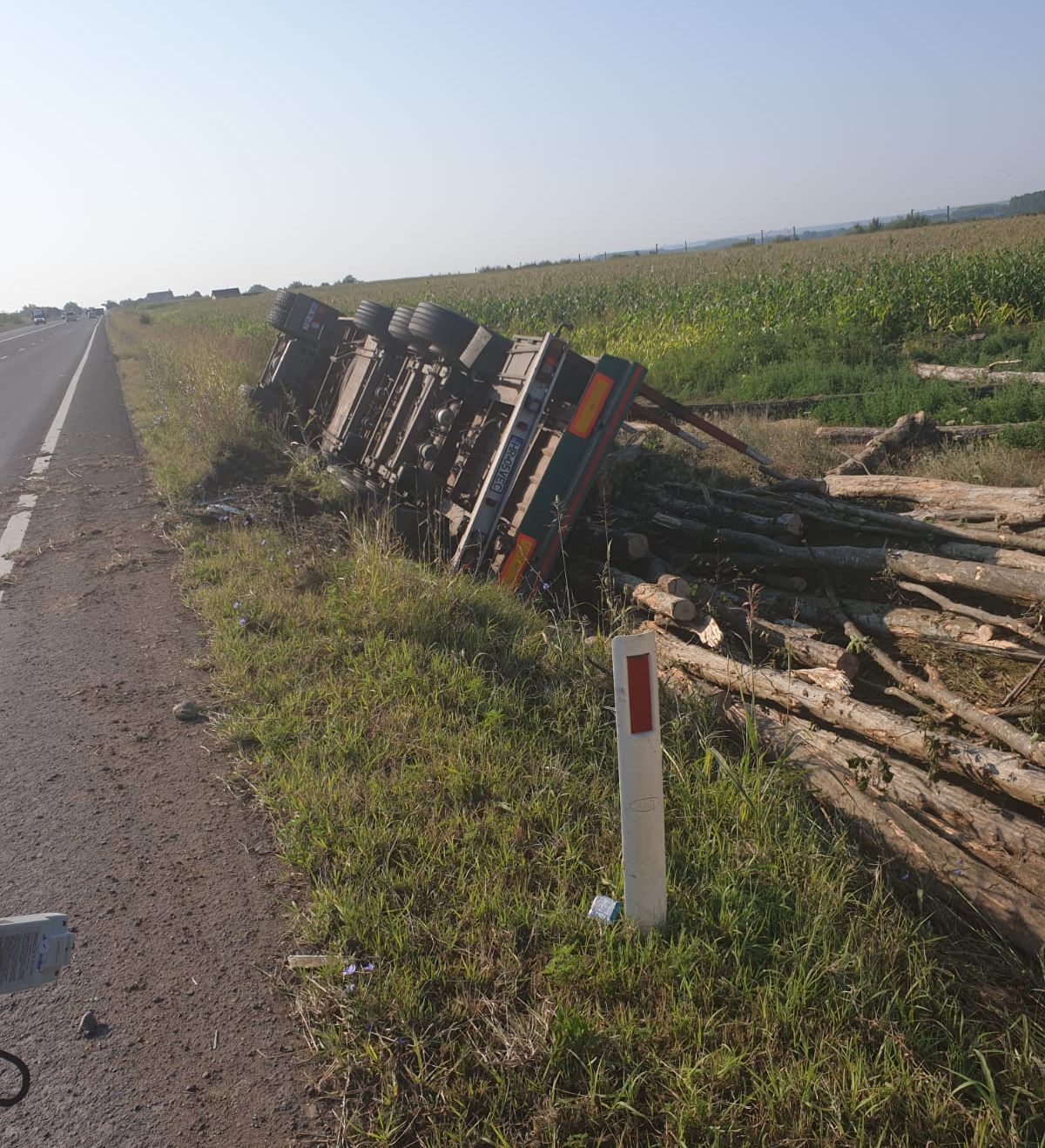 WhatsApp Image 2019-07-31 at 13.11.47