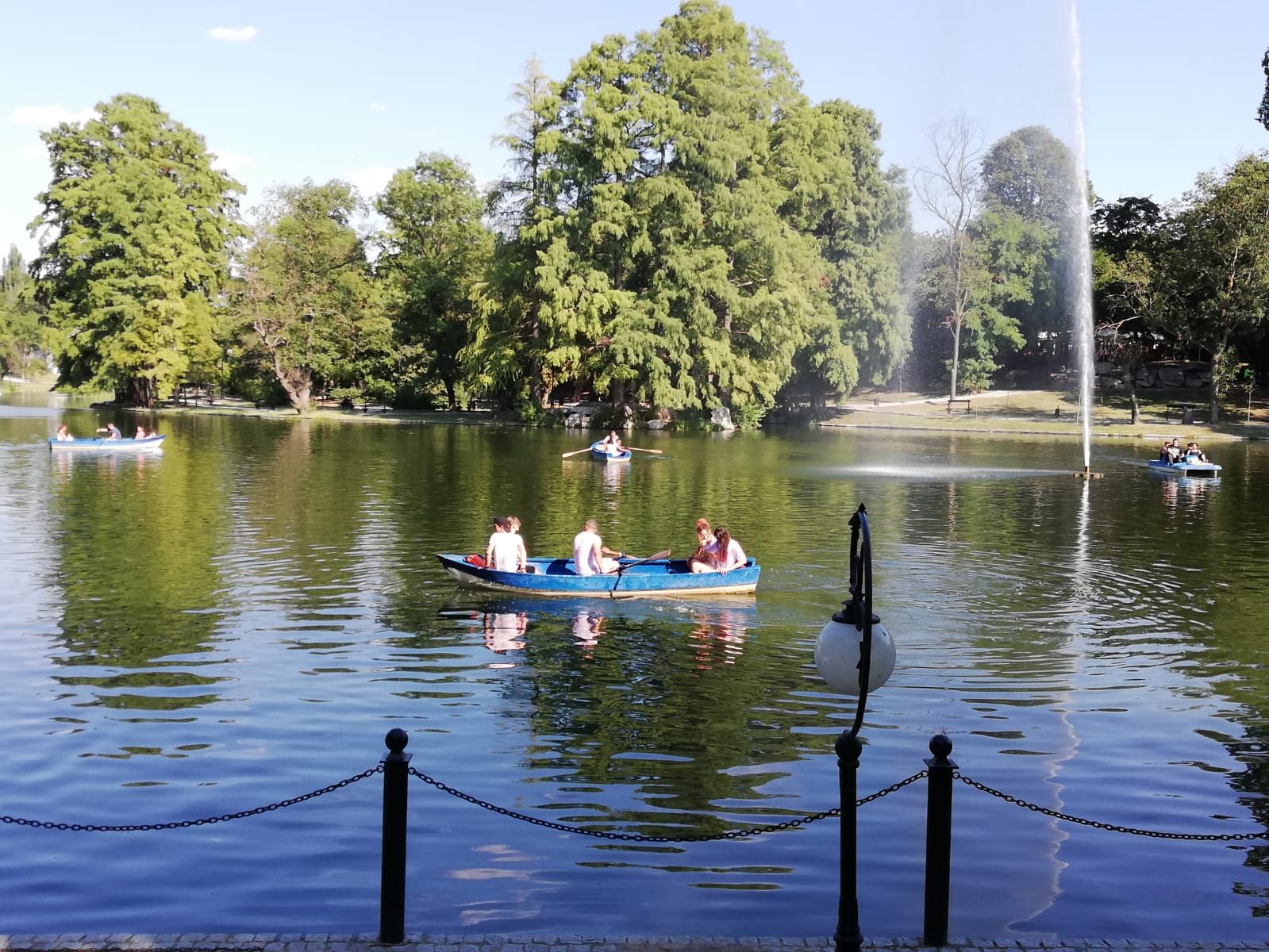 WhatsApp Image 2019-08-19 at 12.34.59