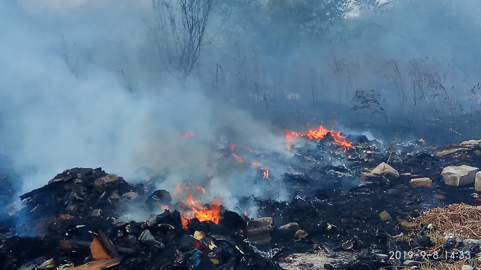 WhatsApp Image 2019-09-08 at 15.52.38