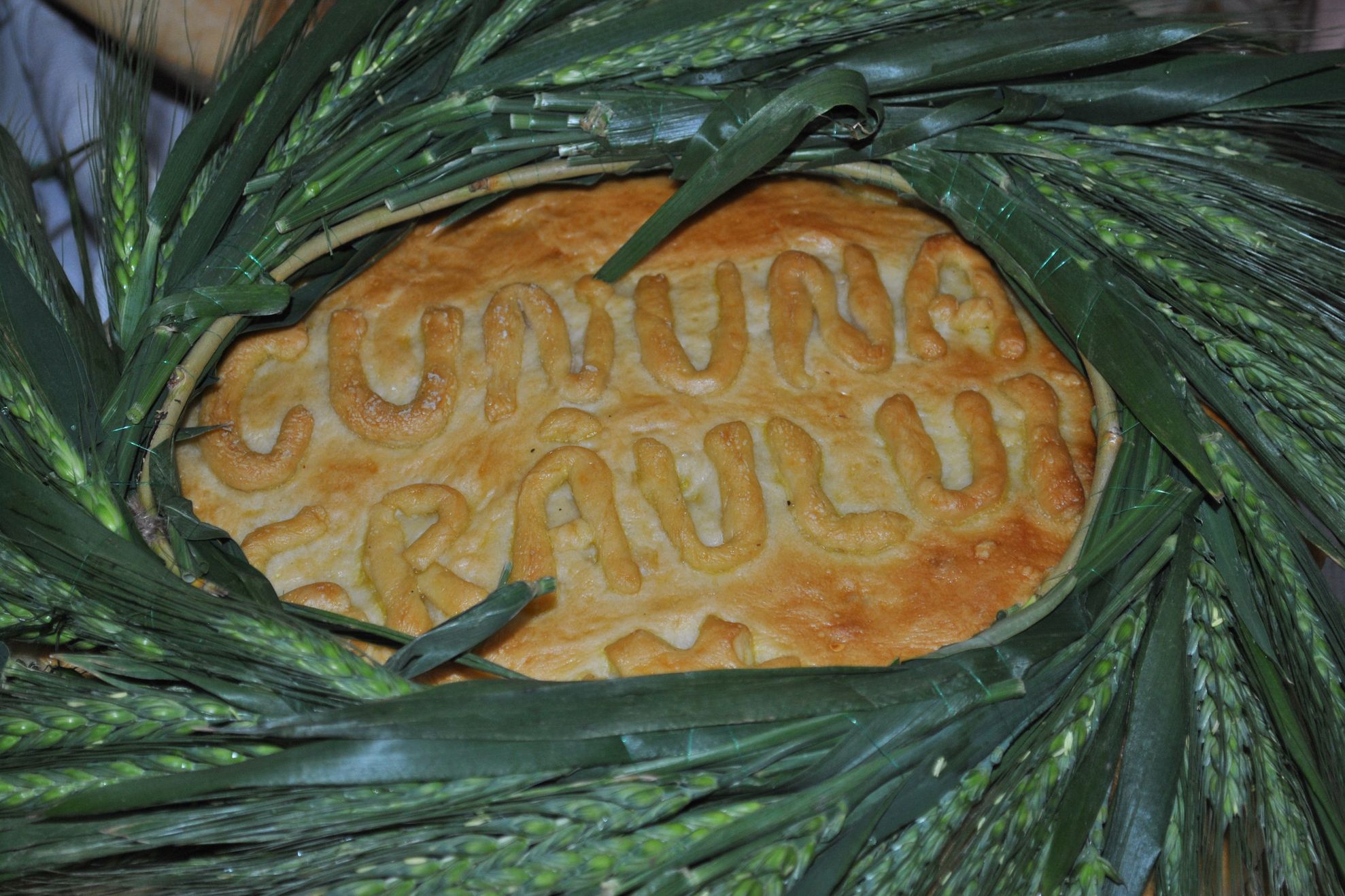 foto2 arhiva CJCPTC Dolj_Diana Ciuca