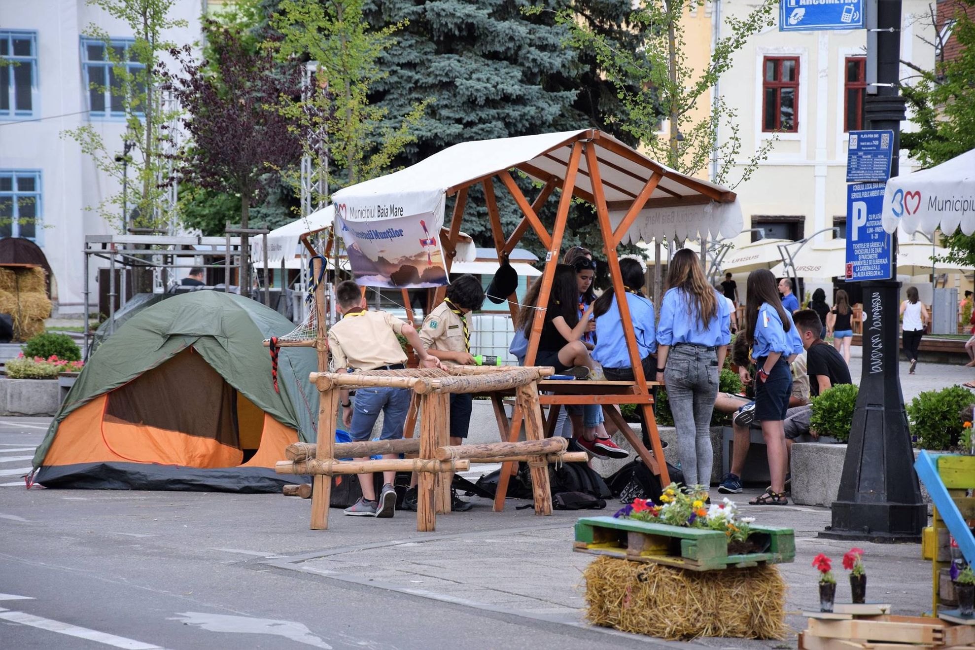 street delivery craiova