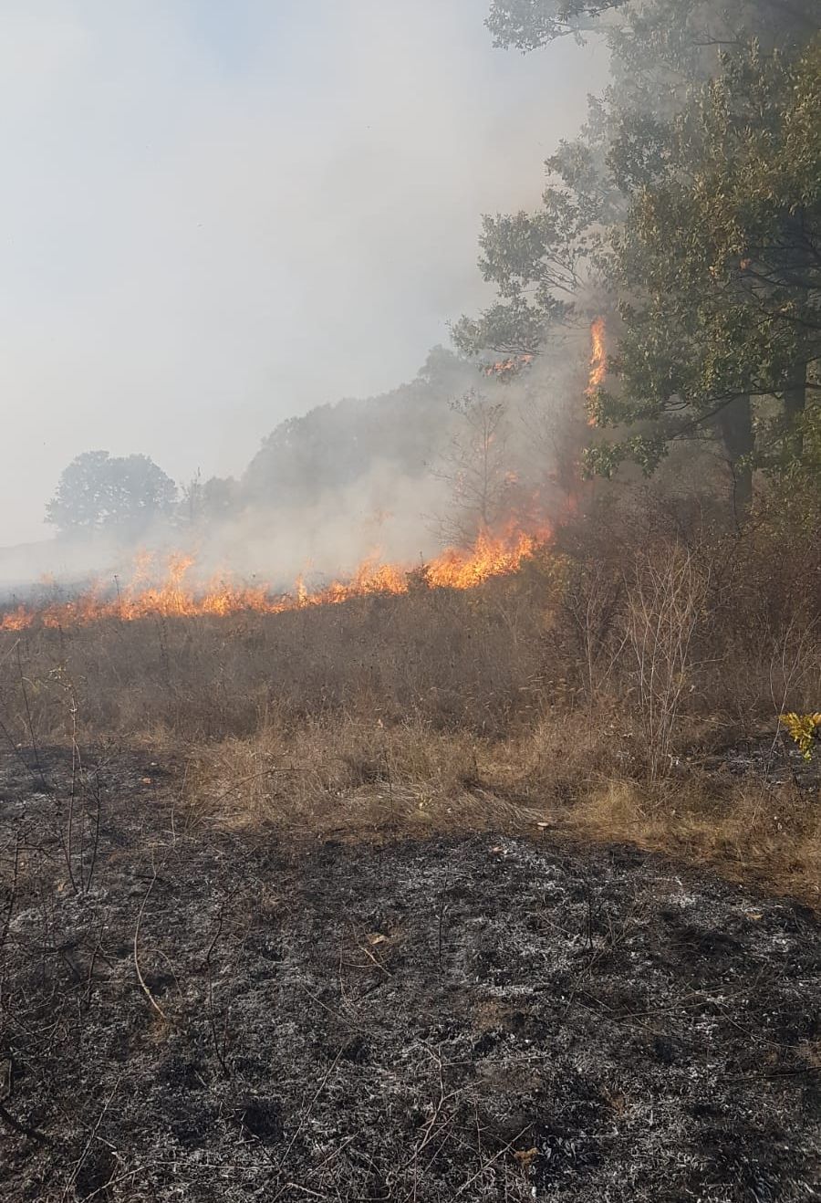 WhatsApp Image 2019-10-23 at 16.57.54