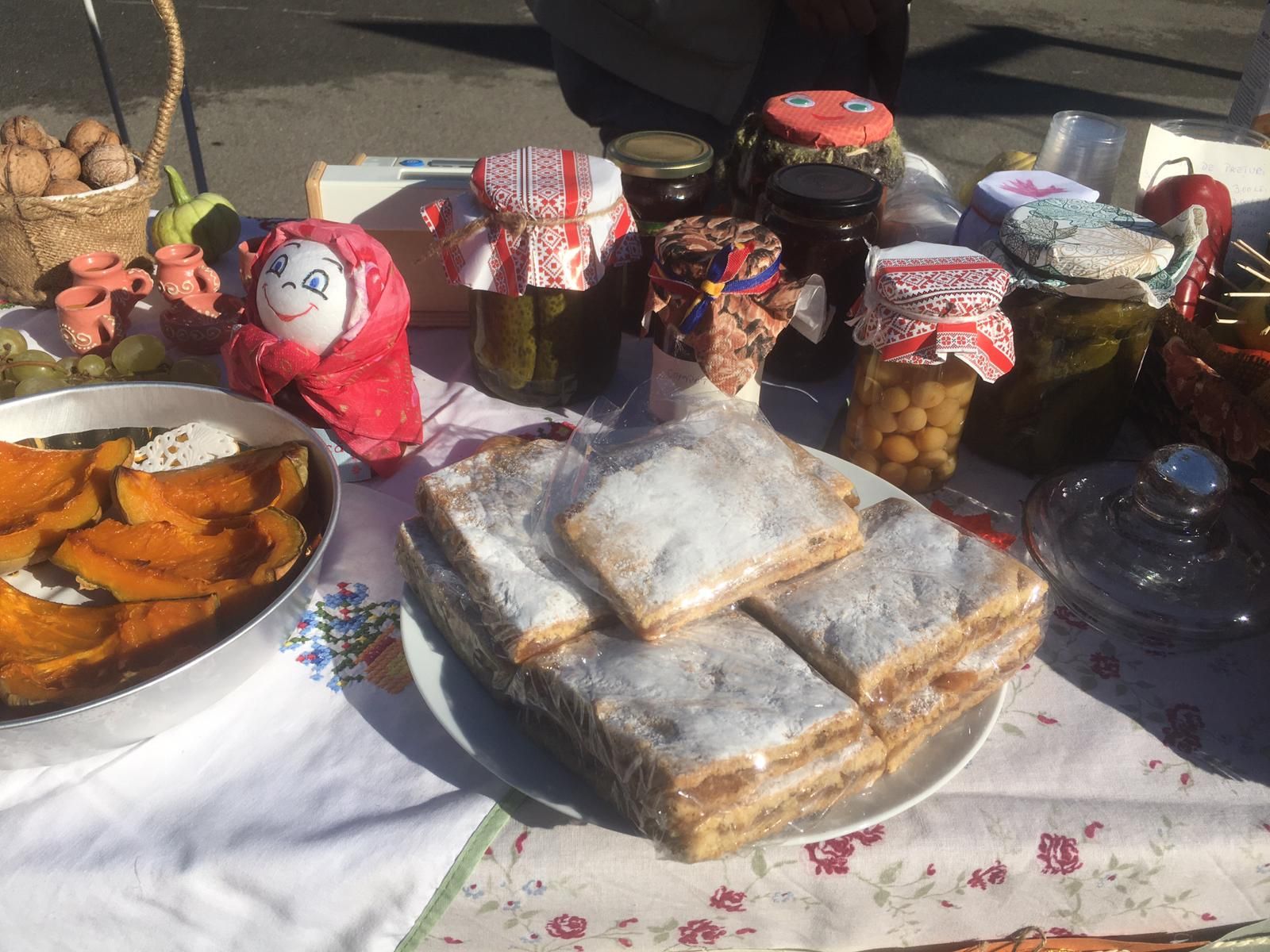 targ de toamna carol (4)