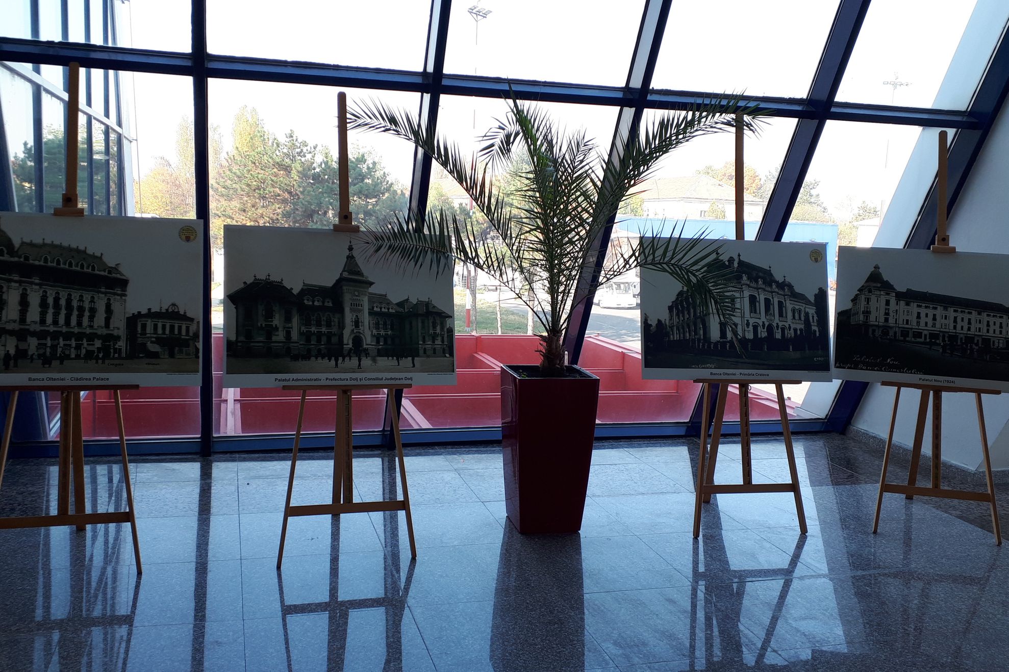 fotografii aeroport (1)