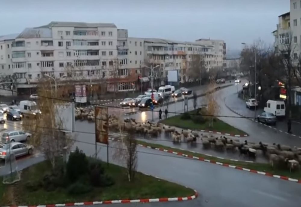 Temperaturi ridicate pentru jumătatea lunii decembrie în weekend. Maximele vor urca până la 15 grade