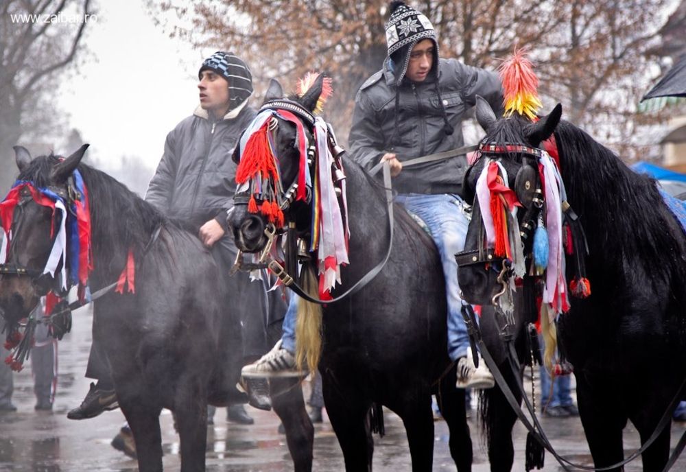 Obicei vechi de peste 100 de ani. Cai botezați, într-o localitate din Dolj, de Bobotează 