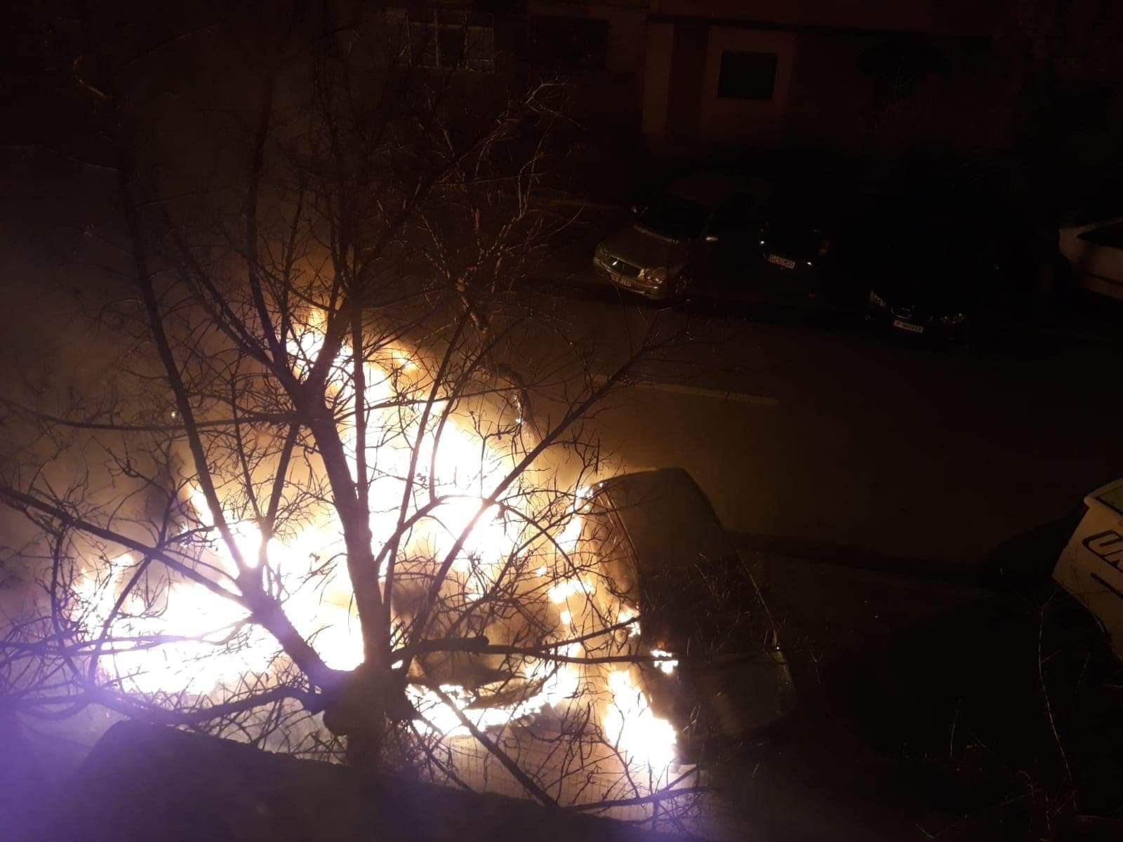 WhatsApp Image 2020-02-12 at 08.38.16