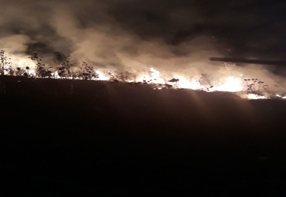 Lupta cu flăcările și cu inconștiența doljenilor. Sute de hectare de vegetație uscată mistuite de flăcări